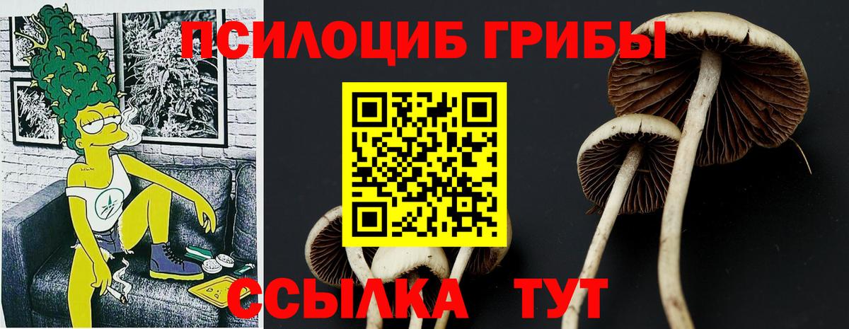 Галлюциногенные грибы MAGIC MUSHROOMS Златоуст