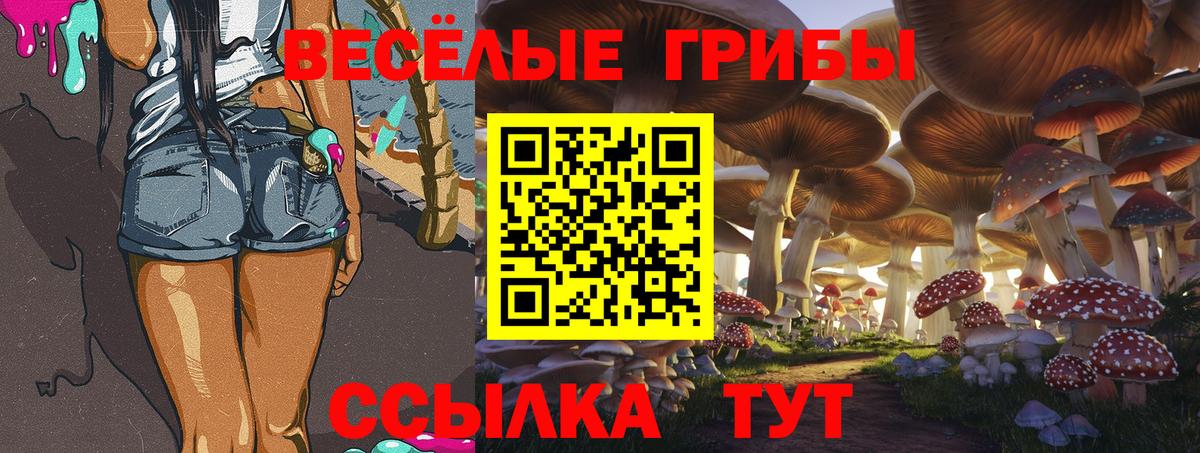 Псилоцибиновые грибы ЛСД  Вход с VPN  Златоуст 